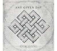 Any Given Day Everlasting (Silver Black Marbled) (Vinyl LP)