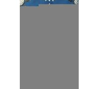 Anya Seton The Winthrop Woman (Tascabile)