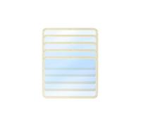 ANYCUBIC 10,1" NFEP Pellicola Opaca 5PCS per Stampante 3D Resina Photon P1