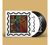 Anything In Return - Toro Y Moi (Vinile)