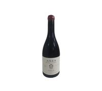 Anza San Vicente 2022