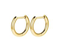 AOEDEJ G23 - Orecchini a cerchio in titanio e argento, 18 g, piccoli orecchini a cerchio da 8 mm/10 mm/12 mm, per orecchie sensibili, per piercing multipli, cartilagine, Titanio, Nessuna pietra