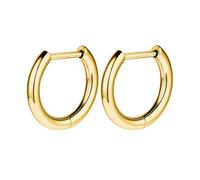 AOEDEJ G23 - Orecchini a cerchio in titanio e argento, 18 g, piccoli orecchini a cerchio da 8 mm/10 mm/12 mm, per orecchie sensibili, per piercing multipli, cartilagine, Titanio, Nessuna pietra