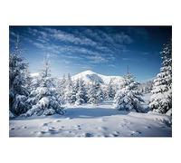 Aoihrraan 1,5x1m Inverno Foresta Sfondo Nevaio Pino Abete Innevato Montagna Innevata Natura Scenario Luce L Sole Paese Lle Meraviglie Fondali Fotografia Famiglia Bambini Adolescenti Adulti Ritratto