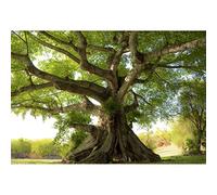 Aoihrraan 1,5x1m Vecchio Albero Sfondo Foresta Parco Boschi Erba Campo Natura Paesaggio Fotografia Sfondo Picnic all'aperto Decorazione Banner Foto di Matrimonio Bambini Adulti Arte Ritratto Prop
