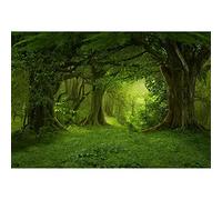 Aoihrraan 2,2x1,5m Primavera Incantato Foresta sfondo Tropical foresta pluviale giungla vecchio alberi verde prati fotografia sfondo Bambino Doccia Bambini Compleanno Festa Matrimonio Foto Prop