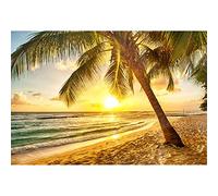 Aoihrraan 3,5x2,5m Estate Tropicale Spiaggia Sfondo Palm Alberi Mare Tramonto Oceano Paesaggio Fotografia Sfondo Estate Campo Matrimonio Video Festa Decorazione Bambini Adulti Ritratto Foto Prop