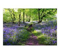 Aoihrraan 3,5x2,5m Lavanda Maniero Sfondo Viola Fiori Verde Alberi Primavera Foresta Parco Natura Paesaggio Fotografia SfondoMatrimonio servizi fotografici bambini adulti artistico ritratto foto prop