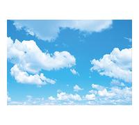 Aoihrraan 3x2,5m Blu Cielo Bianco Nuvole Sfondo Soleggiato Nuvoloso Natura Paesaggio Fotografia Sfondo Bambino doccia bambini compleanno festa bambini adulti ritratto carta da parati foto puntelli