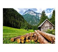 Aoihrraan 3x2,5m Molla Natura Sfondo Montagna Chalet Capanna Sempreverde Albero Scenario Soleggiato Fondale Fotografia Campagna Campo Picnic Festa Baby Shower Bambini Ritratto Puntelli Fotografico