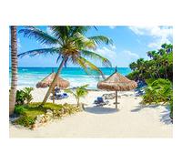 Aoihrraan 3x2,5m Spiaggia Tropicale Sfondo Estate Mare Palma Oceano Scena Fotografia Sfondo Matrimonio Riprese Campo Estivo Festa Compleanno Del Bambino Addio Al Nubilato Photo Studio Puntelli