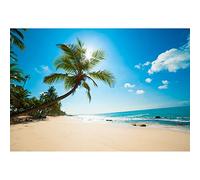 Aoihrraan 3x2,5m Spiaggia Tropicale Sfondo Mare Palma Oceano Blu Sole Fotografia Sfondo Matrimonio Riprese Campo Estivo Decorazione Feste Bambini Adulti Amante Ritratto Studio Fotografico Puntelli
