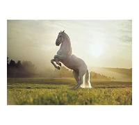 Aoihrraan 3x2m Cavallo Bianco Sfondo Occidentale Pascolo Fata Cowboy Cavallo Paese Delle Meraviglie Della Natura Fondale Fotografia Viaggiare Cowboy Compleanno Festa Ragazzi Adulti Puntelli