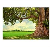 Aoihrraan 3x2m Enorme Albero Sfondo Molla Parco Prato Campagna Vecchio Albero Rurale Scenario Campo Fondale Fotografia Acquario Arredamento Picnic Bambino Bambini Adulti Ritratto Fotografico