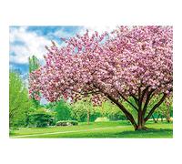 Aoihrraan 3x2m Naturale Paesaggio Sfondo Molla Ciliegia Fiore Alberi Prato Verde Erba Sole Scenario Fondali Fotografia Nozze Festa Madre Donna Signora Ragazze Ritratto Studio Fotografico Vinile