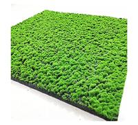Aoisavch Tappeto Muschio Muschio Artificiale, Piante Verdi finte Fai-da-Te Muschio Finto for Forniture di Decorazioni for Soggiorno Parete Giardino in Erba (Color : AA, Size : 3.28'x3.28'/1x1m)