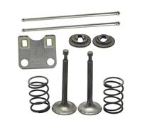 AOIUU Kit piastra guida asta di spinta valvola adatto for motore h0-n-d-a GX160 GX200 5,5 HP 6,5 HP 168F 14791-ZE1-010, pompa dell'acqua, decespugliatore