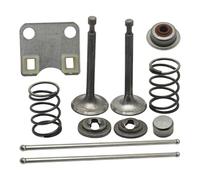 AOIUU Piastra guida asta di spinta valvola adatta for h0-n-d-a GX160 GX200 5.5HP 6.5HP Tappo di protezione stelo Set molla di ritegno Parte motore tosaerba