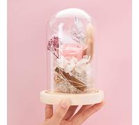 AOKKR Rosa Stabilizzata, Rosa Eterna Rosso Passione con Luci LED, Forever Rose con Nastro e Bigliettino per Festa della Mamma Anniversario Matrimonio Compleanno Regali Romantici per Lei, rosa