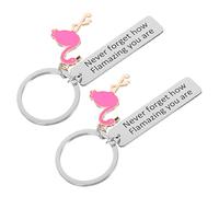 AOKWAWALIY Decorazione per auto, 2 pezzi, portachiavi con fenicottero, portachiavi per auto non dimenticare mai, portachiavi sono regali per amanti del fenicottero, borse da appendere in lega di