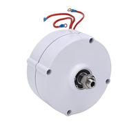 Aolidsive Generatore a Magneti Permanenti, Alternatore CA Trifase in Alluminio Pressofuso 200 W per Eoliche e Sistemi Idroelettrici (senza raddrizzatore 12V)