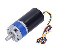 Aolidsive Mini Motoriduttore DC24V con Ingranaggio in Acciaio, Motore Resistente All'usura e Durevole per Serrature Intelligenti e Monitoraggio della Sicurezza (430RPM)