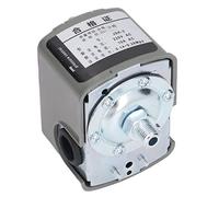 Aolidsive Pressostato, Pressostato Regolabile, 1/4 di Pollice NPT AC220V 10A per Pompe Elettriche per Pozzi