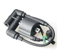AOLUOER 66M-85570-00 Y//a//m//a//h//a Bobina di accensione for motore for barca a 4 tempi 9, CV 15 F9. FT9. F15 66M-85570-01 66M-85570-03 Accessori