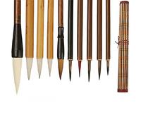 AOMAYLL 10 Pezzi Set di Pennelli per Calligrafia Cinese, Sumi da disegno( con sacchetto per spazzole
