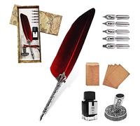 AOMAYLL Set di Inchiostri a Penna Piuma,Stilografica Retrò Set Scrittura,penna calligrafica con pennino,penna d'oca per scrittura,per I principianti Della Calligrafia