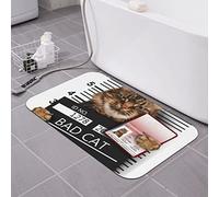 AOOEDM Tappetino da bagno Bad Cat (2) in terra di diatomee 16×24 pollici