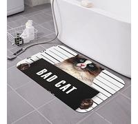 AOOEDM Tappetino da bagno in terra di diatomee Bad Cat 16×24 pollici