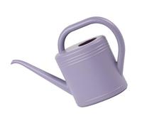 AOOOWER Annaffiatoio da 2 l, per interni ed esterni, con beccuccio lungo, manico ergonomico in ABS per giardinaggio