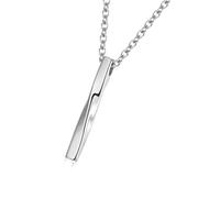 AOOOWER Collana con urna di cremazione per medaglione per animali domestici, gioiello per commemorare il tuo cane e gatto, 4.1x0.5cm, Acciaio al titanio, Nessuna pietra preziosa