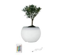 AOOOWER Vasi a LED che cambiano colore per piante grasse, giardinaggio e decorazione domestica, con base illuminata, lampada da vaso che cambia colore