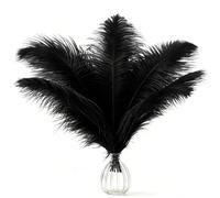 AOOTE Grandi Naturale Piume, 12 Pezzi Piuma di Struzzo Naturale, 25-30cm Piume Decorative, per Matrimoni, Lavori Artigianali, Abbigliamento, Decorazioni Natalizie, Feste a Tema, Personaggi, Nero