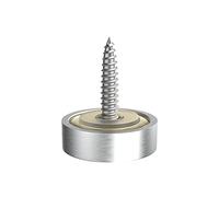 Aopin Tappo a vite a specchio, viti decorative di fissaggio per segnale/pubblicità Hardware Chiodi/costruzione, argento lucido lucido, 20 mm, 1 pz
