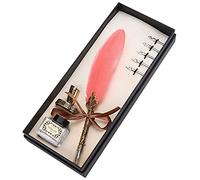 Aoresac Set di penne a forma di piuma con 5 pennini e supporto, in acciaio inox, per calligrafia gotica italiana (rosa)