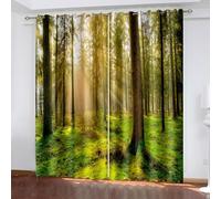 Aotiwe Tenda per Finestre Soggiorno, Tenda Soggiorno Casale Verde Marrone Alberi e Sunshine Paesaggio Poliestere 2 Pannelli 467,4 x 228,6 cm