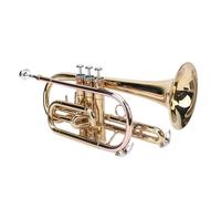 AOWINHIT Set Tromba in Oro Bb Strumento Orchestrale Integrato Rivestimento Antiurto Ottone Rame Fosforoso