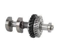 AOWINHIT Sub Assemblaggio Dell'Albero Dell'equilibrio del Motore 13601 28021 Albero di Bilanciamento del Motore a Riduzione delle Vibrazioni Solara TC XB HS250h