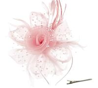AOWVUTS Fascinators per Capelli da Donna Fascinator Copricapo da Sposa con Clip Fascinatori Cappello Fascia di Fiori di Piume Accessori per Ragazze Cocktail Nozze Festa del Tè