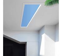 AOXCHEN Lampada da Soffitto Smart Blue Skylight, Pannello Luminoso Artificiale per Cielo Limpido, Luce LED Blu Nel Cielo, per Soggiorno Nel Corridoio dei Servizi Igienici(Doodle Smart,E 300 * 600mm)
