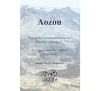 Aozou: Pourquoi et comment le drapeau libyen y a été hissé ?