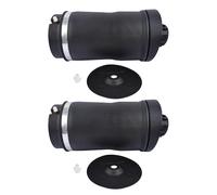 AP02 Coppia molla sospensione pneumatica posteriore A 2513200025 A 2513200325 Per Benz Classe R V251, W251 R300 R280 R320 R350