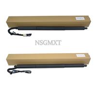 AP03 Ammortizzatore a gas per portellone posteriore elettrico sinistro + destro per BMW X3 F25 18i 20i 28i 35i 51247232003 51247232004