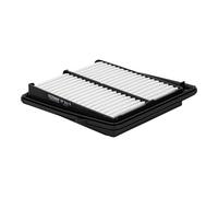 AP106/9 Filtro aria Filtron