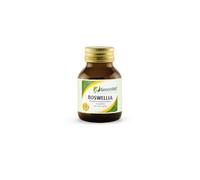 APA-CT APA-CT Greenvet Boswellia - Mangime complementare per cani 50 capsule
