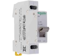 Sezionatore Schneider 2P 20A 1 modulo A9S60220