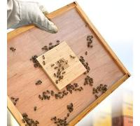 Ape Escape Board STURDY Effection Bee Management 20cmx20cm Divider